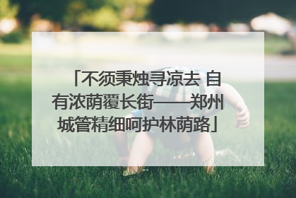 不须秉烛寻凉去 自有浓荫覆长街——郑州城管精细呵护林荫路