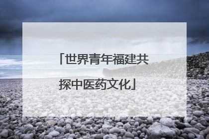 世界青年福建共探中医药文化