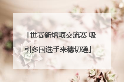 世赛新增项交流赛 吸引多国选手来穗切磋