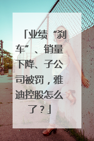 业绩“刹车”、销量下降、子公司被罚，雅迪控股怎么了？