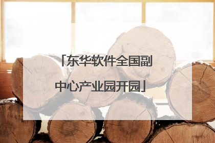 东华软件全国副中心产业园开园