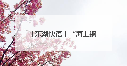 东湖快语丨“海上钢琴师”，属于大江大湖大武汉的诗意浪漫