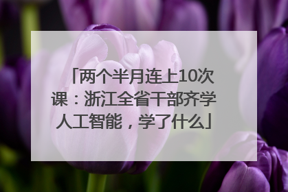 两个半月连上10次课：浙江全省干部齐学人工智能，学了什么