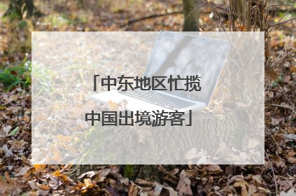 中东地区忙揽中国出境游客