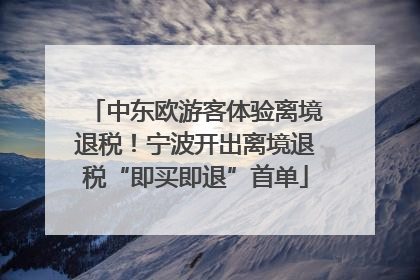中东欧游客体验离境退税！宁波开出离境退税“即买即退”首单