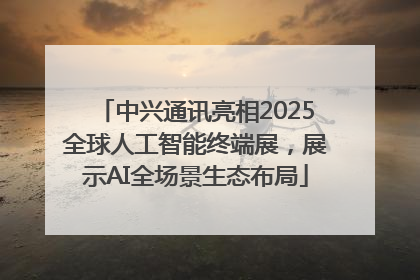 中兴通讯亮相2025全球人工智能终端展，展示AI全场景生态布局