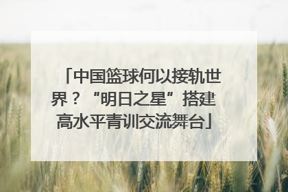 中国篮球何以接轨世界？“明日之星”搭建高水平青训交流舞台