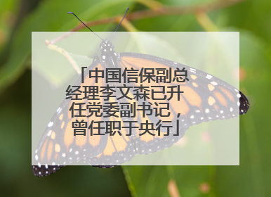 中国信保副总经理李文森已升任党委副书记，曾任职于央行