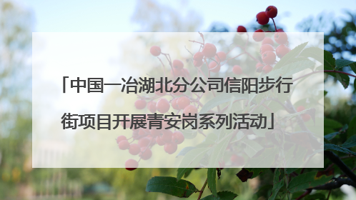 中国一冶湖北分公司信阳步行街项目开展青安岗系列活动