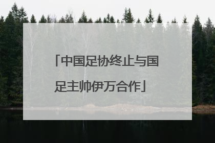 中国足协终止与国足主帅伊万合作