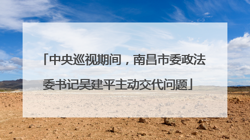 中央巡视期间，南昌市委政法委书记吴建平主动交代问题