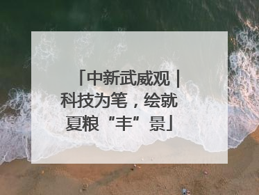 中新武威观｜科技为笔，绘就夏粮“丰”景
