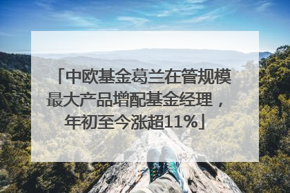 中欧基金葛兰在管规模最大产品增配基金经理，年初至今涨超11%