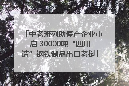 中老班列助停产企业重启 30000吨“四川造”钢铁制品出口老挝