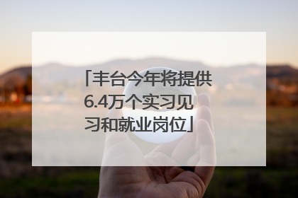 丰台今年将提供6.4万个实习见习和就业岗位
