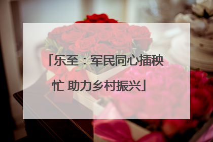 乐至：军民同心插秧忙 助力乡村振兴
