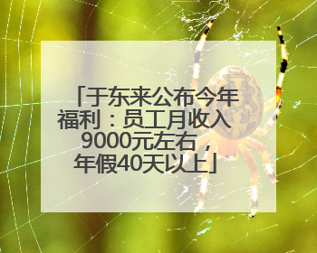 于东来公布今年福利：员工月收入9000元左右，年假40天以上