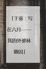 于葵：写在六月——我的外婆林徽因