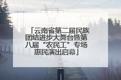 云南省第二届民族团结进步大舞台暨第八届“农民工”专场惠民演出启幕