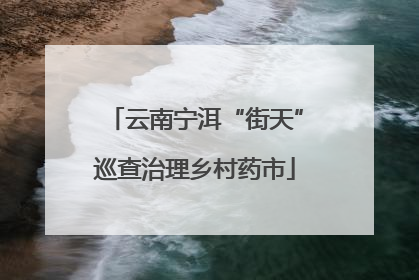 云南宁洱“街天”巡查治理乡村药市