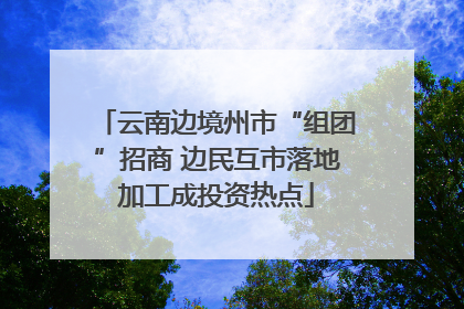 云南边境州市“组团”招商 边民互市落地加工成投资热点