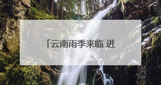 云南雨季来临 进入一年一度吃菌季