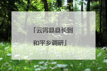 云霄县县长到和平乡调研