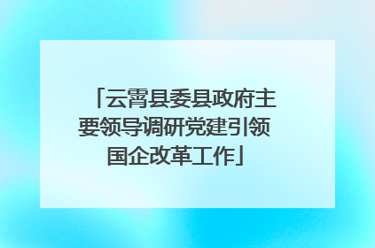 云霄县委县政府主要领导调研党建引领国企改革工作