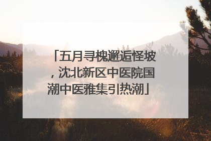 五月寻槐邂逅怪坡，沈北新区中医院国潮中医雅集引热潮