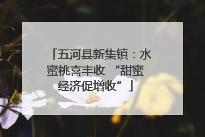 五河县新集镇：水蜜桃喜丰收 “甜蜜经济促增收”