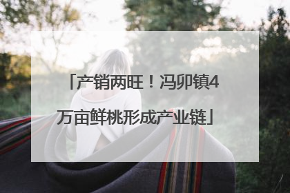 产销两旺！冯卯镇4万亩鲜桃形成产业链