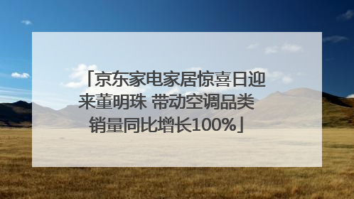 京东家电家居惊喜日迎来董明珠 带动空调品类销量同比增长100%