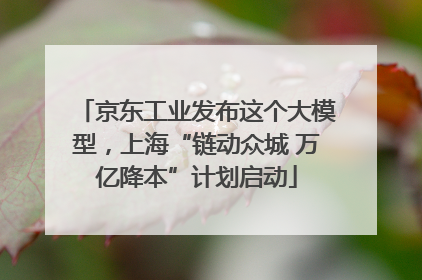 京东工业发布这个大模型，上海“链动众城 万亿降本”计划启动