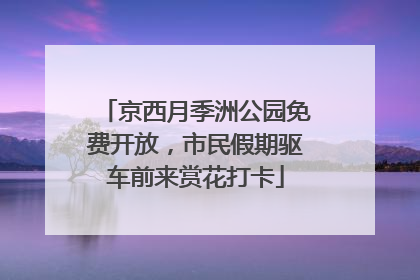京西月季洲公园免费开放，市民假期驱车前来赏花打卡