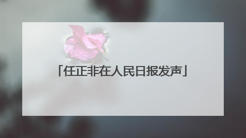 任正非在人民日报发声
