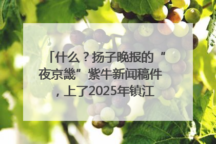什么？扬子晚报的“夜京畿”紫牛新闻稿件，上了2025年镇江中考模拟卷！