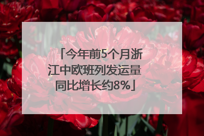 今年前5个月浙江中欧班列发运量同比增长约8%