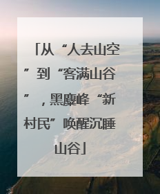 从“人去山空”到“客满山谷”，黑麋峰“新村民”唤醒沉睡山谷