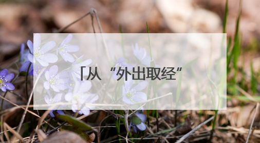 从“外出取经”到“本土结果”！叶县“党支部+合作社”模式绘就乡村振兴新图景