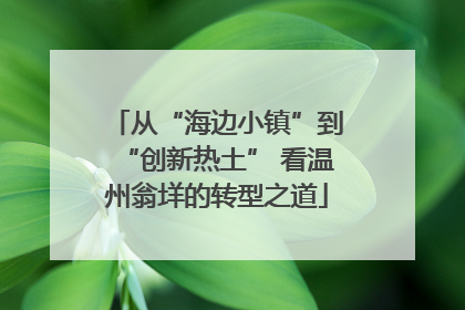 从“海边小镇”到“创新热土” 看温州翁垟的转型之道