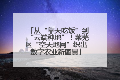 从“靠天吃饭”到“云端种地”！莱芜区“空天地网”织出数字农业新图景
