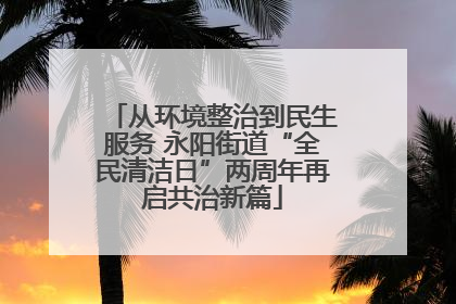 从环境整治到民生服务 永阳街道“全民清洁日”两周年再启共治新篇