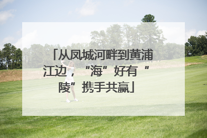 从凤城河畔到黄浦江边，“海”好有“陵”携手共赢