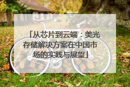 从芯片到云端：美光存储解决方案在中国市场的实践与展望