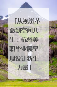 从视觉革命到空间共生：杭州美职毕业展呈现设计新生力量