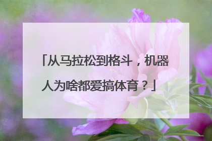 从马拉松到格斗，机器人为啥都爱搞体育？