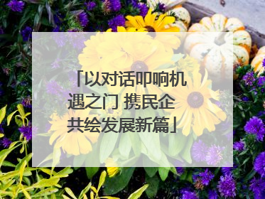 以对话叩响机遇之门 携民企共绘发展新篇