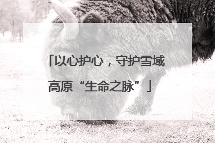 以心护心，守护雪域高原“生命之脉”