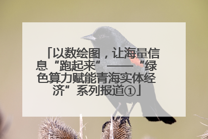 以数绘图，让海量信息“跑起来”——“绿色算力赋能青海实体经济”系列报道①