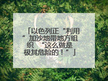 以色列正“利用”加沙地带地方组织  “这么做是极其危险的！”